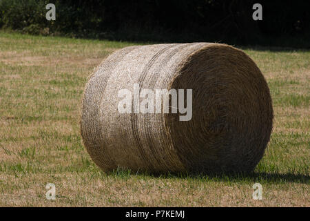 Ellesborough, UK. 6. Juli, 2018. Ein Heuballen auf einem Feld in der Nähe von Salisbury, offizielle Residenz des Premierministers. Credit: Mark Kerrison/Alamy leben Nachrichten Stockfoto