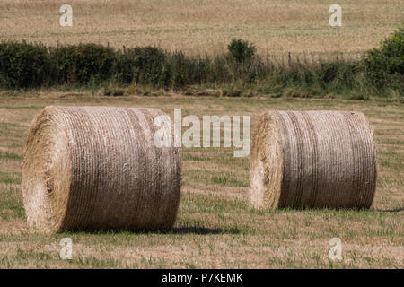 Ellesborough, UK. 6. Juli, 2018. Strohballen auf einem Feld in der Nähe von Salisbury, offizielle Residenz des Premierministers. Credit: Mark Kerrison/Alamy leben Nachrichten Stockfoto