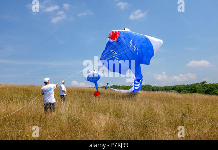 Brighton, UK. 7. Juli 2018. Mitglieder von Bognor Drachenflieger starten 100 ft riesigen blauen Manta Ray als auch gut heißen, sonnigen Wetter auf der 40. jährlichen Brighton Kite Festival über das Wochenende in Stanmer Park Credit gehalten wird: Simon Dack/Alamy Leben Nachrichten genießen Stockfoto