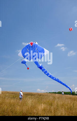 Brighton, UK. 7. Juli 2018. Mitglieder von Bognor Drachenflieger starten 100 ft riesigen blauen Manta Ray als auch gut heißen, sonnigen Wetter auf der 40. jährlichen Brighton Kite Festival über das Wochenende in Stanmer Park Credit gehalten wird: Simon Dack/Alamy Leben Nachrichten genießen Stockfoto