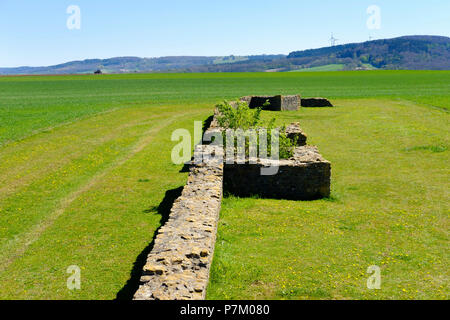 Ellingen Burg auf dem Limes, sablonetum Ellingen, Fränkisches Seenland, Naturpark Altmühltal, Mittelfranken, Franken, Bayern, Deutschland Stockfoto