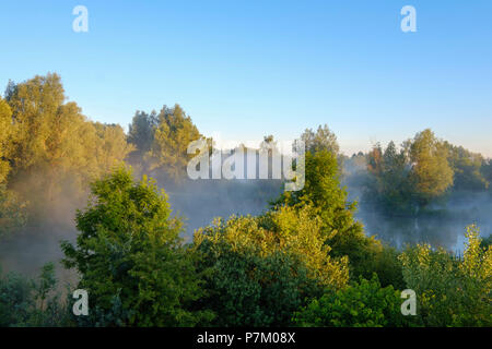 Nebel im Sunrise, Altmühlsee in Muhr am See, Altmühltal, Fränkisches Seenland, Mittelfranken, Franken, Bayern, Deutschland Stockfoto