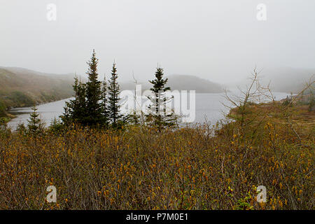 Reisebericht - Neufundland, Kanada, Landschaften und malerische, kanadische Provinz, 'The Rock', Stockfoto