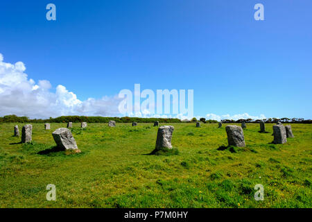 Merry Maidens oder Rosemodress Kreis, Bronzezeit Steinkreis, in der Nähe von Penzance, Cornwall, England, Vereinigtes Königreich Stockfoto