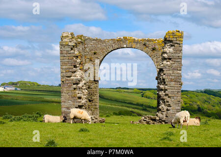 Turm der Ruine, am Kai, Hartland Hartland, Devon, England, Großbritannien Stockfoto