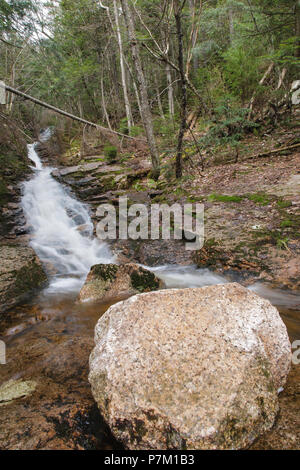 Kedron Flume in der Hart-Lage, New Hampshire in den Frühlingsmonaten. Dieser Wasserfall ist im Crawford Notch State Park. Stockfoto