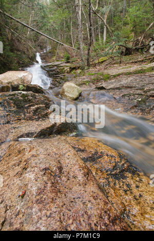 Kedron Flume in der Hart-Lage, New Hampshire in den Frühlingsmonaten. Dieser Wasserfall ist im Crawford Notch State Park. Stockfoto