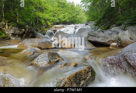 Eine kleine Kaskade auf dem Swift River, in der Nähe der Sawyer River Trail, in den weißen Bergen Stadt Livermore, New Hampshire. Während der Sommermonate. Stockfoto