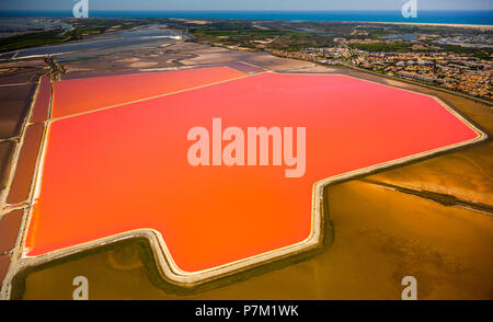 Salzseen in der Nähe von Aigues-Mortes in der Petite Camargue, Fleur de Sel auf dem Salz Verdunstungsteichen, Departement Gard, Occitanie Region, Frankreich Stockfoto