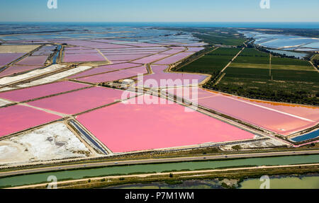 Salzseen in der Nähe von Aigues-Mortes in der Petite Camargue, Fleur de Sel auf dem Salz Verdunstungsteichen, Departement Gard, Occitanie Region, Frankreich Stockfoto