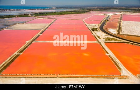 Petite Camargue, Aigues-Mortes, Departement Gard, Occitanie Region, Frankreich Stockfoto