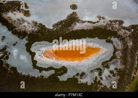 Fleur de Sel auf den Oberflächen der Salz Verdunstungsteichen, Petite Camargue, Le Grau-du-Roi, Departement Gard, Occitanie Region, Frankreich Stockfoto