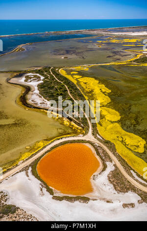 Fleur de Sel auf den Oberflächen der Salz Verdunstungsteichen, Brackwasser und bunte alte Salz Verdunstungsteichen östlich von Aigues-Mortes, Camargue, Bouches-du-Rhône Saintes-Maries-de-la-Mer Region Provence-Alpes-Côte d'Azur, Frankreich Stockfoto