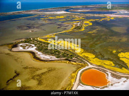Fleur de Sel auf den Oberflächen der Salz Verdunstungsteichen, Brackwasser und bunten Salz Verdunstungsteichen östlich von Aigues-Mortes, Camargue, Departement Gard, Le Grau-du-Roi, Occitanie Region, Frankreich Stockfoto