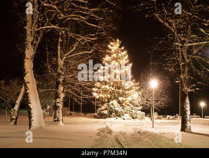 Österreich, Oberösterreich, Salzkammergut, Mondsee, Mondsee Advent, Weihnachten Baum, Snowy, Abend, Stockfoto