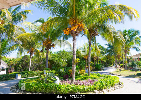 Hotel Melia Las Dunas, 5 Sterne, Cayo Santa Maria, Provinz Villa Clara, Kuba, Republik Kuba, Großen Antillen, Karibik Stockfoto