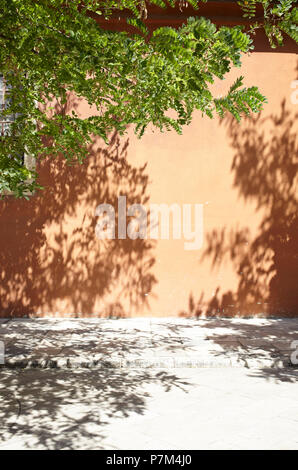 Schatten der Bäume an der Wand Stockfoto