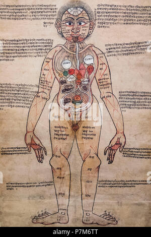 England, London, der Wellcome Collection, 18. Jahrhundert Nepali anatomische Aquarell Gemälde der Darstellung ayurvedische Mann Stockfoto