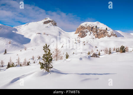 Die verschneite Felder von Passo Valparola, Belluno, Venetien, Italien, Europa Stockfoto