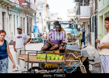 Eine kubanische verkauft mangos von einem Fahrrad Warenkorb an einer Ecke in Havanna, Kuba. Stockfoto