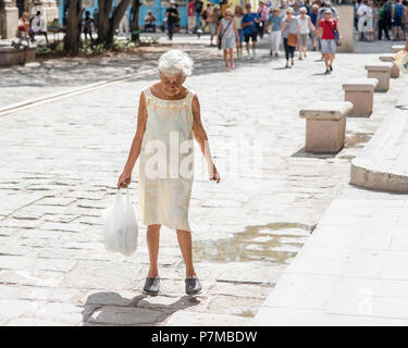 Eine süsse alte Frau Lebensmittel zu sich nach Hause tragen. Stockfoto