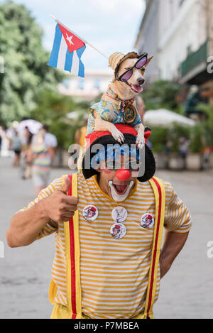 Ein Clown und seinem Hund unterhaltsam Touristen in einem Plaza in Havanna. Stockfoto