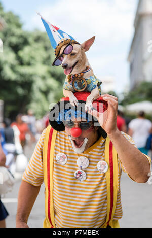 Ein Clown und seinem Hund unterhaltsam Touristen in einem Plaza in Havanna. Stockfoto