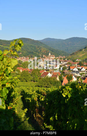 Frankreich, Bas Rhin, Alsace Wine Route, Andlau Stockfoto