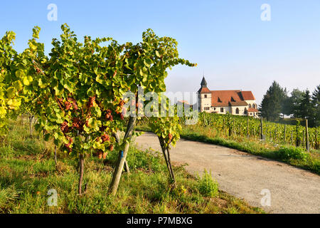 Frankreich, Bas Rhin, Alsace Wein Straße, Dambach la Ville, St. Sebastian Kapelle Stockfoto