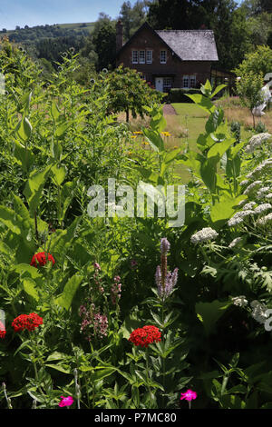 Die englischen Cottage Garten kann ein Durcheinander von Pflanzen und Blumen werden, rustikal und unprätentiös, wie hier zu sehen, Haus und die Hügel im Hintergrund. Stockfoto