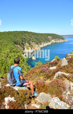 Frankreich, Finistere, Iroise, Parc Naturel Regional d'Armorique (Armorica Regionaler Naturpark), Presqu'ile de Crozon, Cap de la Chèvre, Pointe de Saint Hernot, Spaziergang entlang des GR34 auf der Halbinsel Crozon, Cap de la Chèvre coastal path Stockfoto