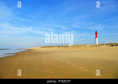Frankreich, Charente Maritime, die wilde Küste, Pointe de la Coubre, La Tremblade, die wilde Küste Strand und Coubre Leuchtturm Nördlich der Mündung der Gironde Stockfoto