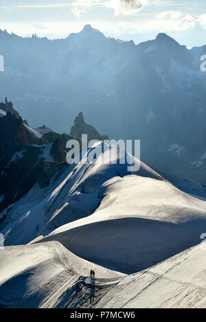 Frankreich, Haute Savoie, Chamonix Mont Blanc, Alpinisten auf dem Grat der Aiguille du Midi (3848 m), Mont-Blanc, Abstieg der Vallée Blanche Stockfoto