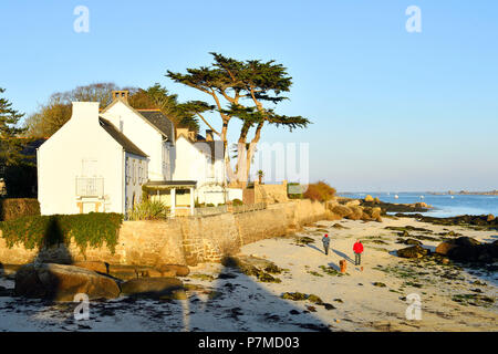 Frankreich, Finistere, Pays des Abers, Legenden Küste, Brignogan Plages, Hafen Stockfoto