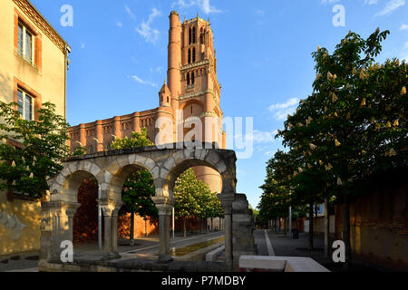 Frankreich, Tarn, Albi, die bischöfliche Stadt, als Weltkulturerbe von der UNESCO, der St. Cecile Kathedrale Stockfoto