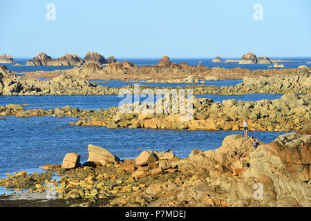 Frankreich, Cotes d'Armor, Cote d'Ajoncs, Pleubian, Pors Scaff Cove Stockfoto