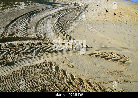 Reifenspuren im Sand, Negombo Strand, westliche Provinz, Sri Lanka, Asien. Stockfoto