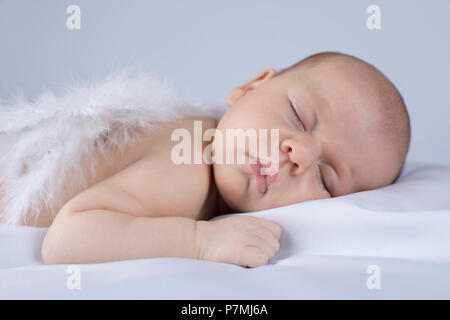 Engel, Baby schlafen Stockfoto