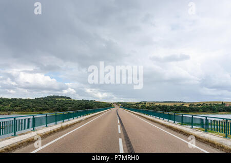 Schwarze Bremsspuren auf einer Landstraße Stockfoto