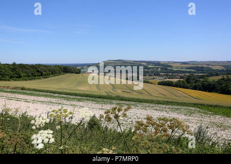 Allgemeine Ansichten des South Downs Way in Kochen, Midhurst, West Sussex, UK. Stockfoto