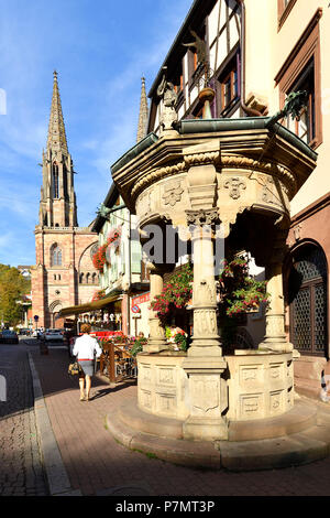 Frankreich, Bas Rhin, Obernai, Rue Chanoine Gyss, gut mit den sechs Eimern und Saint Pierre und Paul Kirche Stockfoto