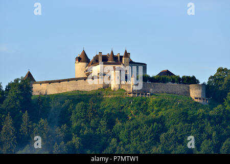 Schweiz, Kanton Freiburg, Gruyères, mittelalterliche Stadt, die Burg Stockfoto