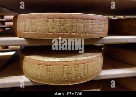 Schweiz, Kanton Freiburg, Bulle, La Maison du Gruyère (Greyerzer), Greyerzer Käse im Keller Stockfoto