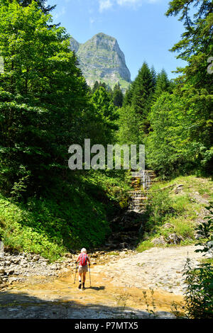 Schweiz, Kanton Freiburg, Bulle, Wanderung, bis die Moleson, 2002 m, emblematischen Gipfel von la Gruyeres Stockfoto