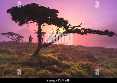 Ein Mann bewundert die Ansicht. Azoren Wacholder Lagoa do Capitao gegen die Wolken in der Nähe der Berg Pico, São Roque Pico die Insel Pico, Azoren, Portugal Stockfoto