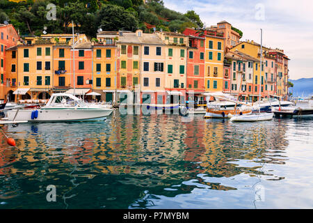 Hafen und typischen bunten Häusern, Portofino, der Provinz Genua, Ligurien, Italien Stockfoto