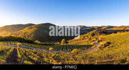 Greve in Chianti, Provinz Florenz, Toskana, Italien, Bauernhaus und Weinberge bei Sonnenaufgang Stockfoto