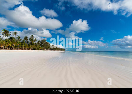 Osten Afrika, Tansania, Sansibar, Kiwengwa Beach an einem Sommertag bei Ebbe. Stockfoto