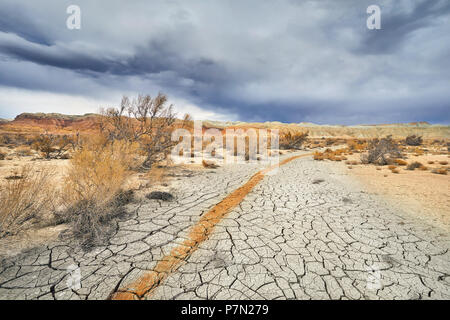 Red stripe aus Lehm auf Risse im Boden in der nationalen Desert Park Altyn Emel in Kasachstan Stockfoto