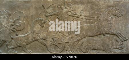 Assyrische Reich. 1. Jahrtausend BCE. Ashurnasirpal Jagd Löwen. Palast von Ashurnasirpal II in Nimrud. ca. 865 BCE. Irak. Bristih Museum. London. Vereinigtes Königreich. Stockfoto